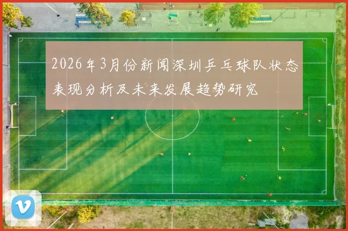 2026年3月份新闻深圳乒乓球队状态表现分析及未来发展趋势研究